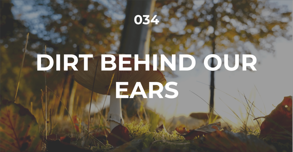 βDirt Behind Our Earsβ : On Solarpunk and the Need for New Futures