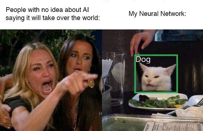 AI meme showing women confused on left with caption and white cat incorrectly labeled Dog on right representing a neural network