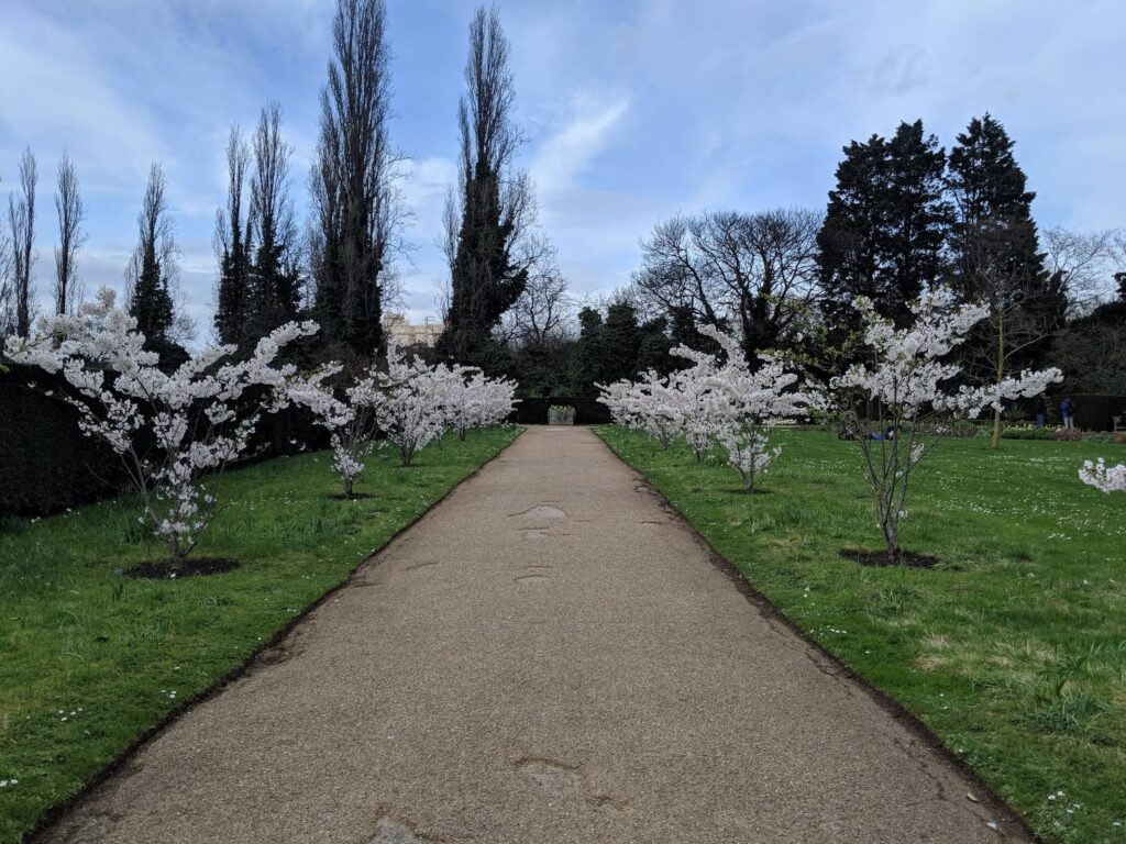 Regents Park In Spring