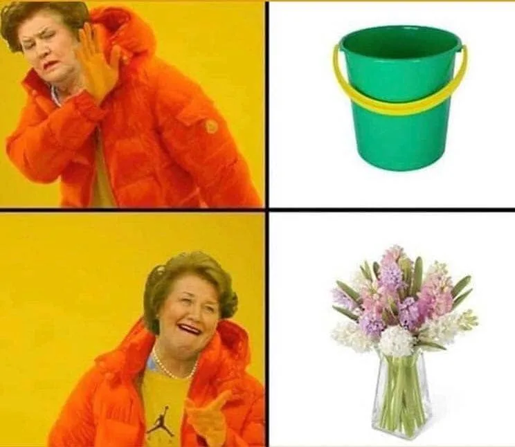 Drake meme collage showing hyacinth bucket paired with green bucket and pink flower arrangement