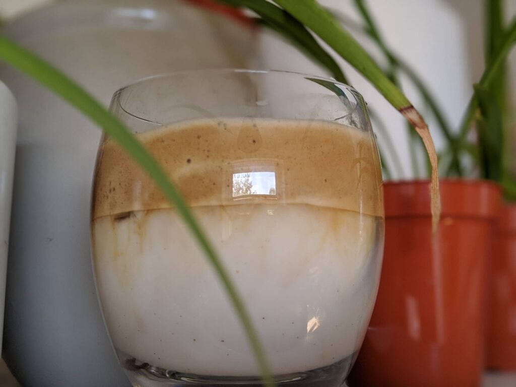 Iced coffee in a glass with green plant leaves in the background