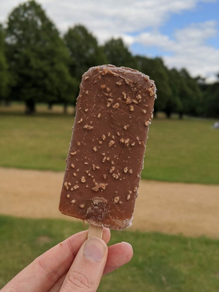 Chocolate ice cream lolly held in hand with green field and trees in background