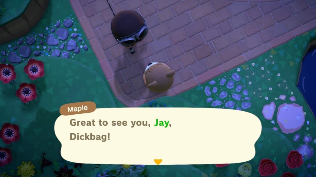 Animal Crossing screenshot of Maple character saying "Great to see you, Jay, Dickbag!" with colorful flowers and water background