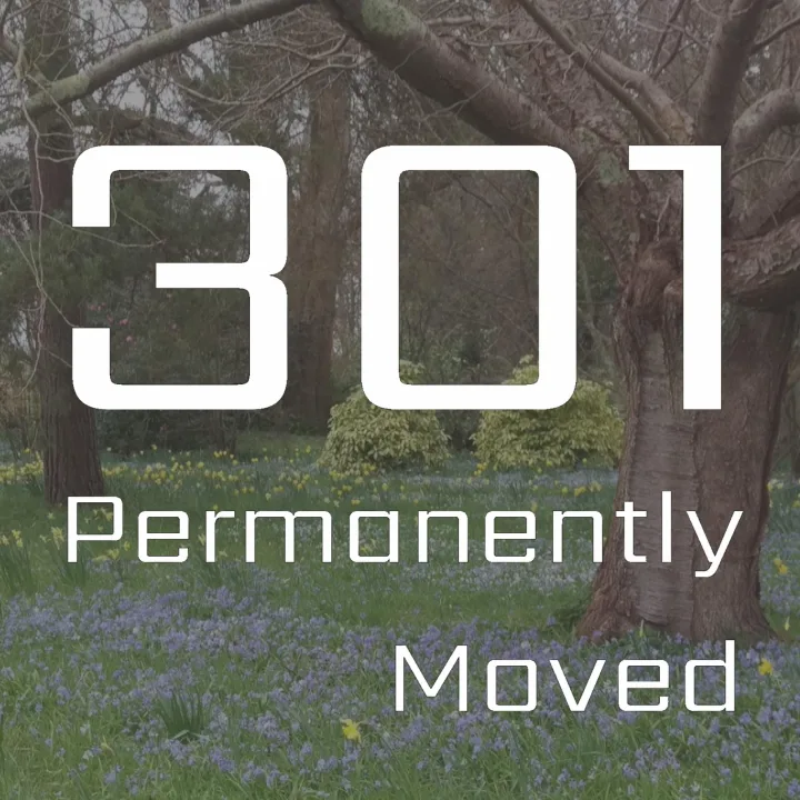 From Medway To Miami | 2033