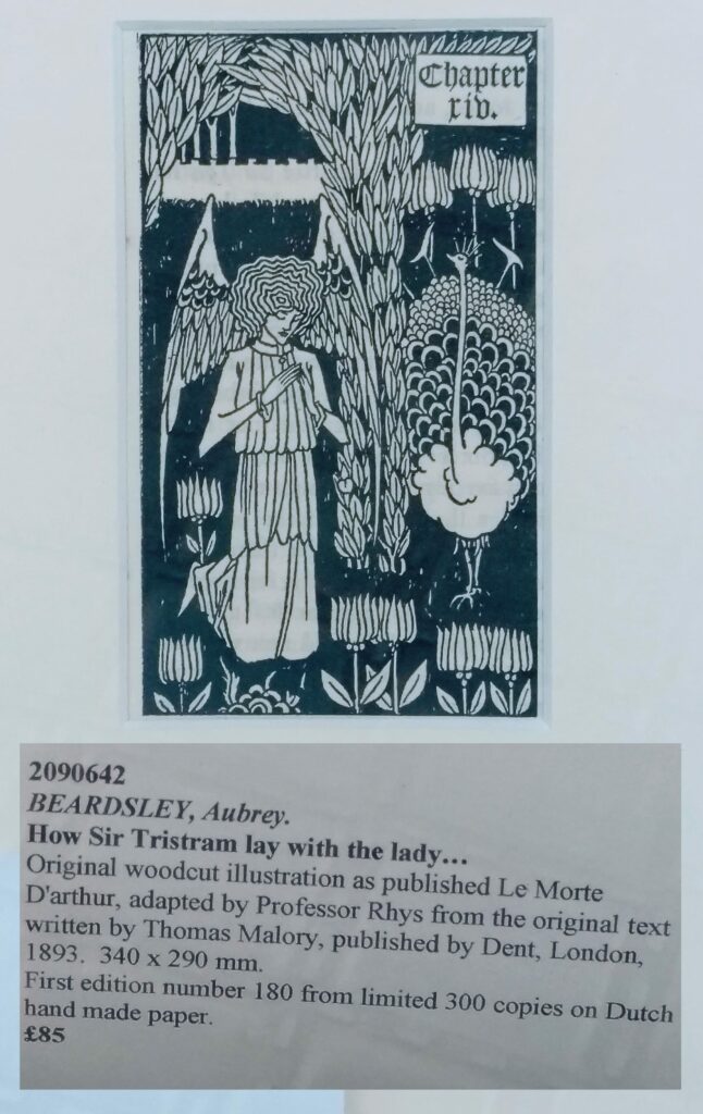 Vintage woodcut illustration titled "Chapter Fib" showing a woman with decorative floral patterns, with book information label below