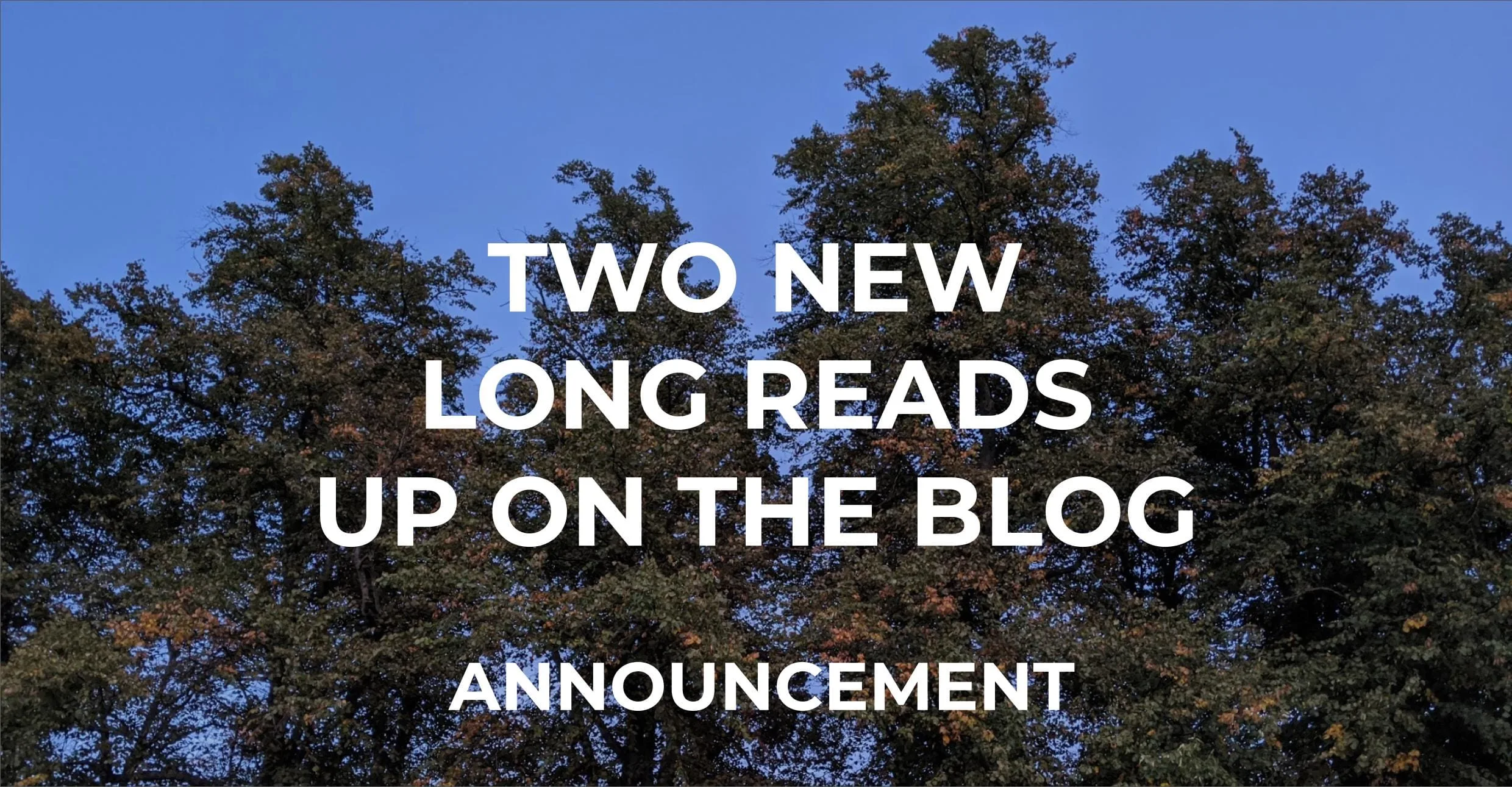 Two Long Reads Up On The Blog