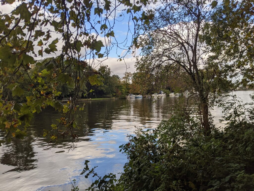 River scene with overhanging trees and green foliage framing the water on a blue sky day