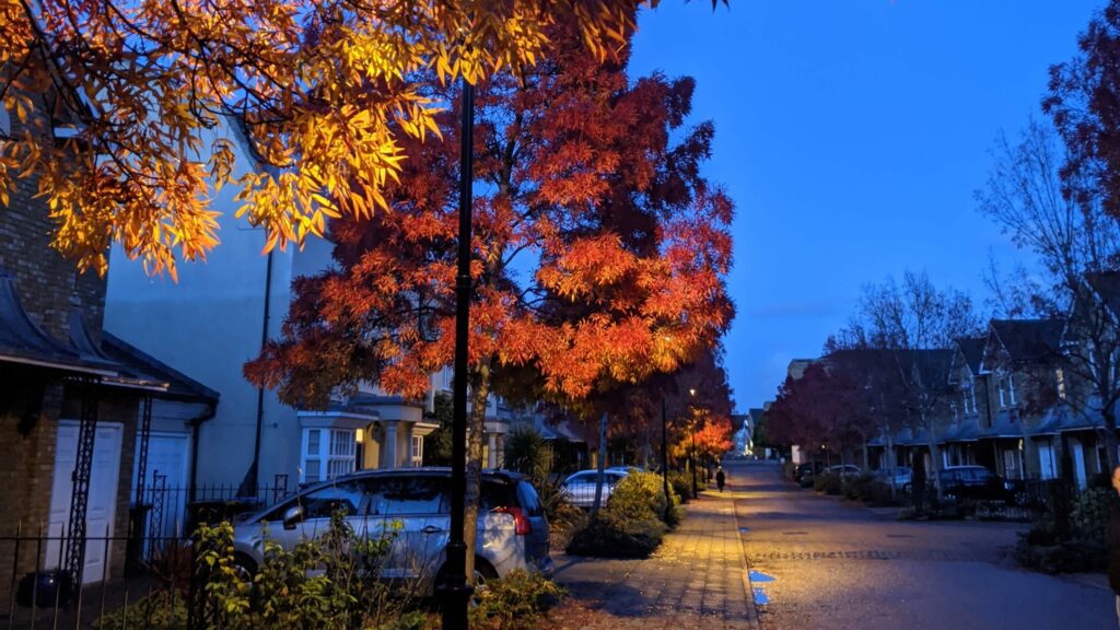 Suburban street lined with autumn trees in red and gold foliage at twilight