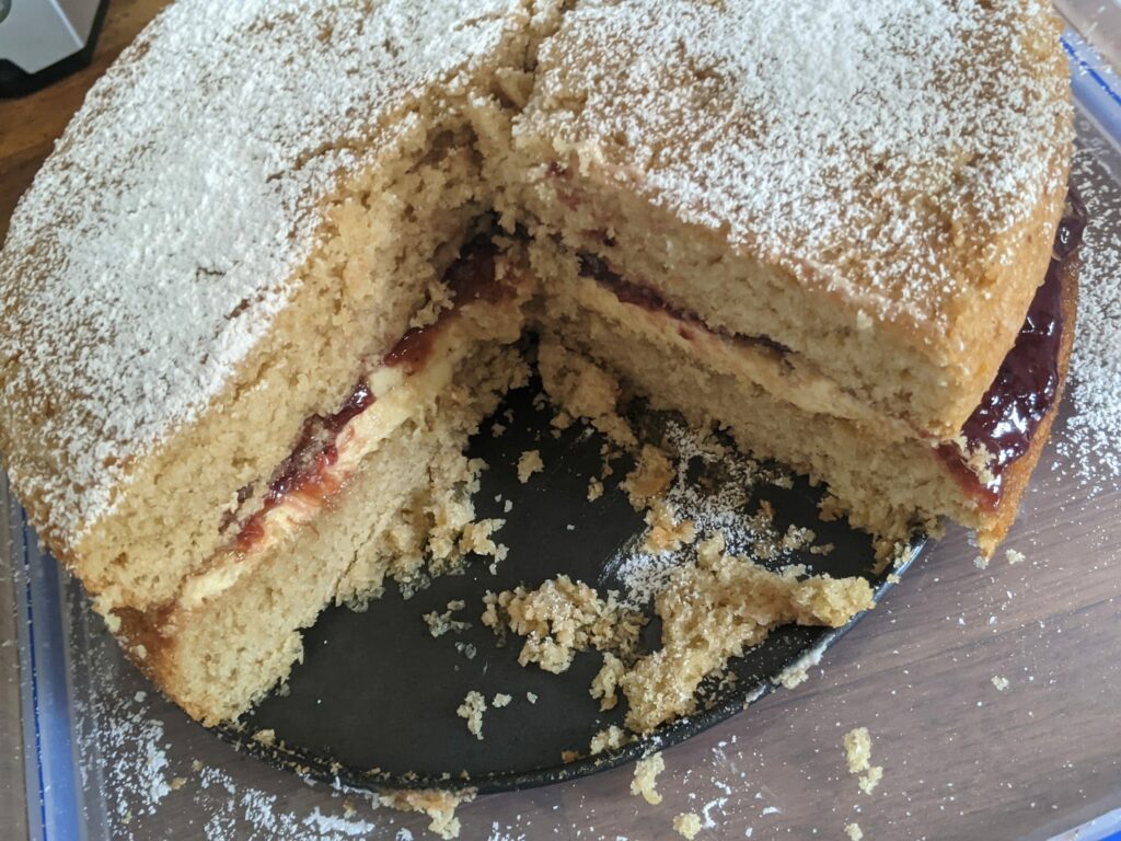 Sliced sponge cake with dark jam filling dusted with powdered sugar on dark plate