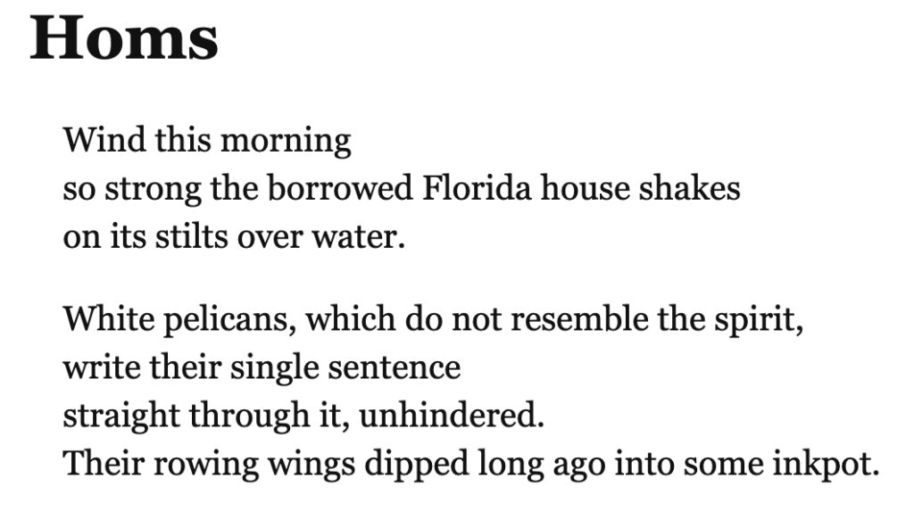 Screenshot of blog post titled "Homs" showing poetry about wind and pelicans