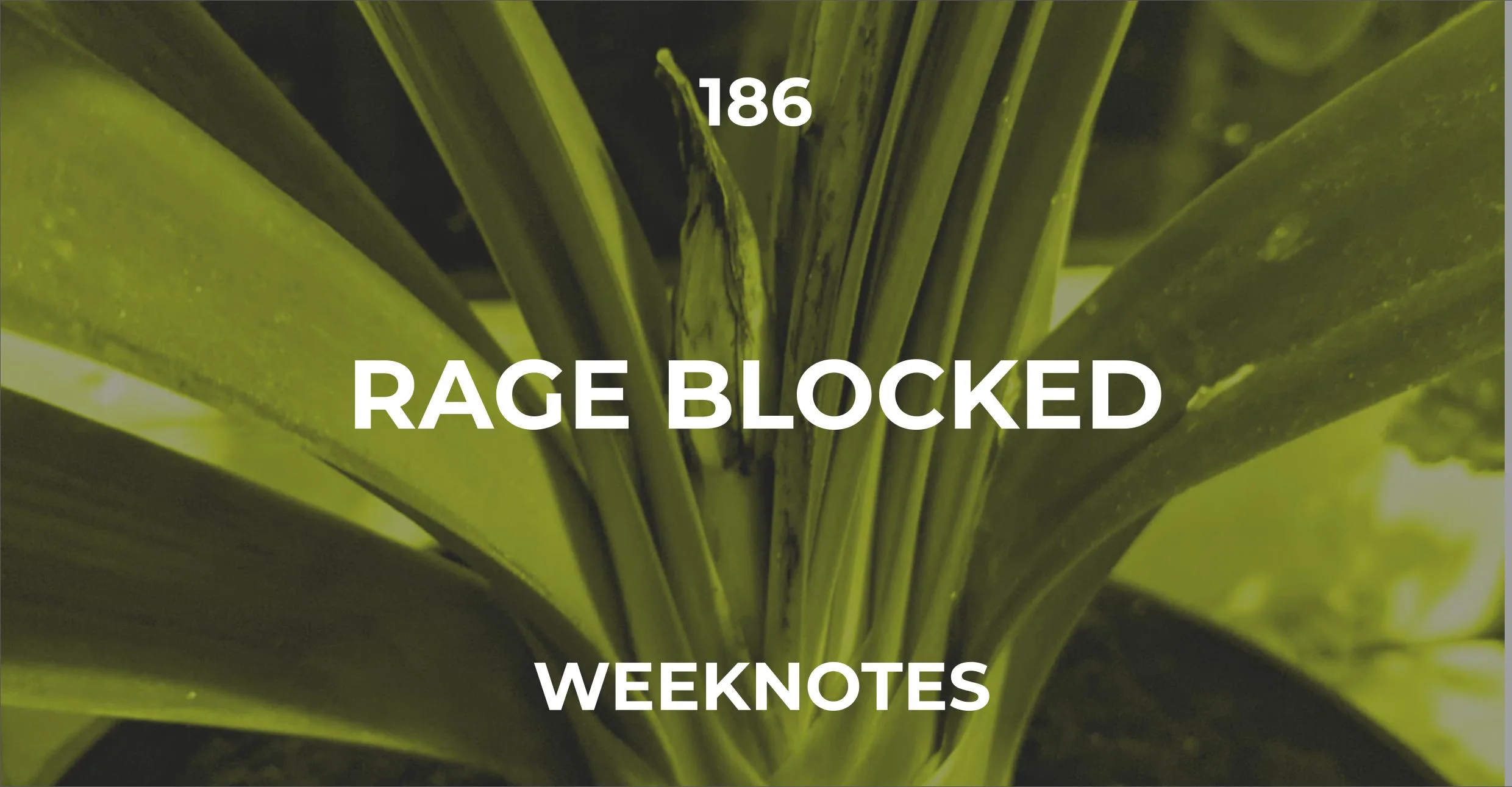Rage Blocked