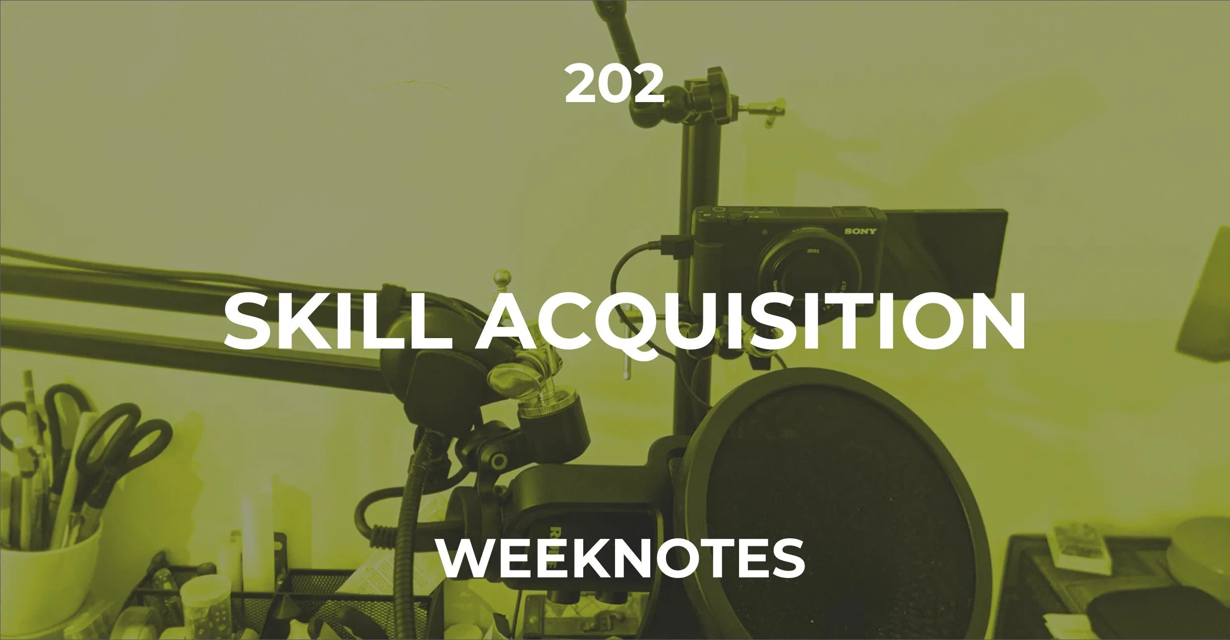 Skill Acquisition