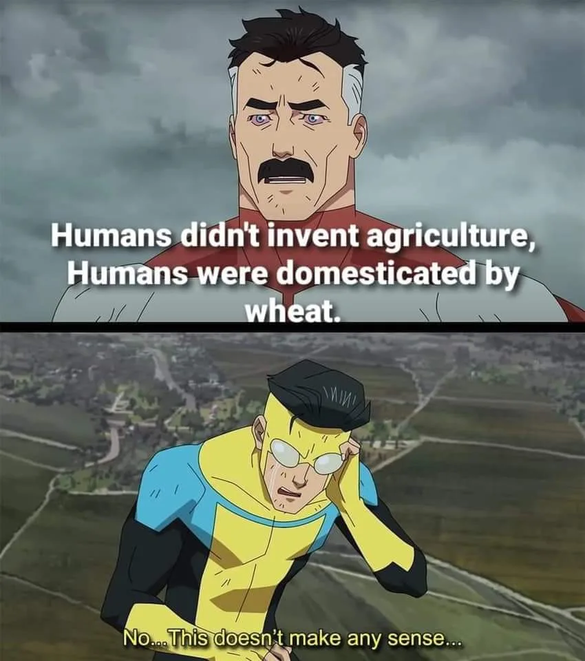 Meme with anime characters - top panel shows angry character stating "Humans didn't invent agriculture, Humans were domesticated by wheat" - bottom shows character with shocked expression saying "No... This doesn't make any sense..."