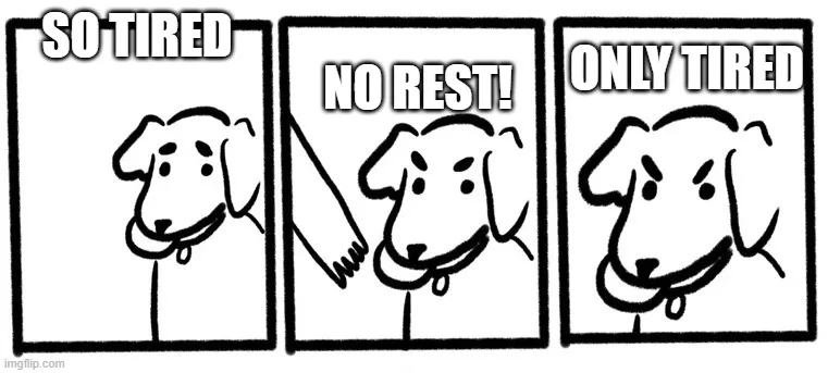 Three-panel comic strip showing a dog's face with labels reading "SO TIRED", "NO REST!", and "ONLY TIRED"