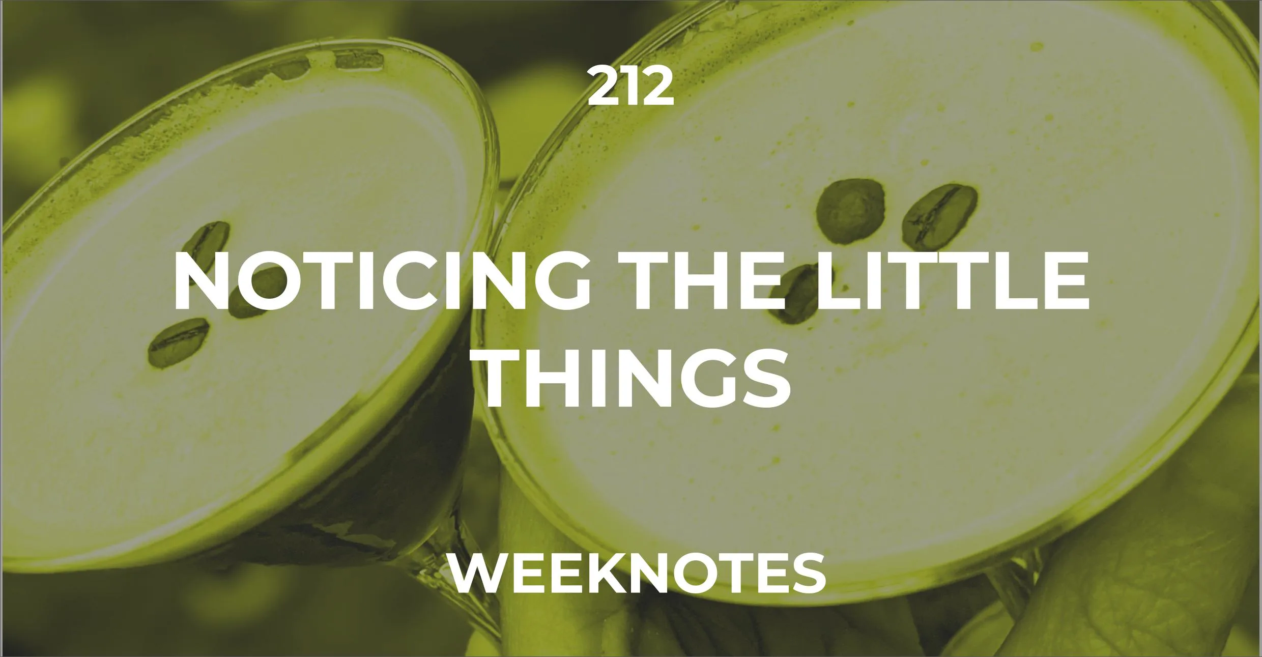 Noticing the Little Things
