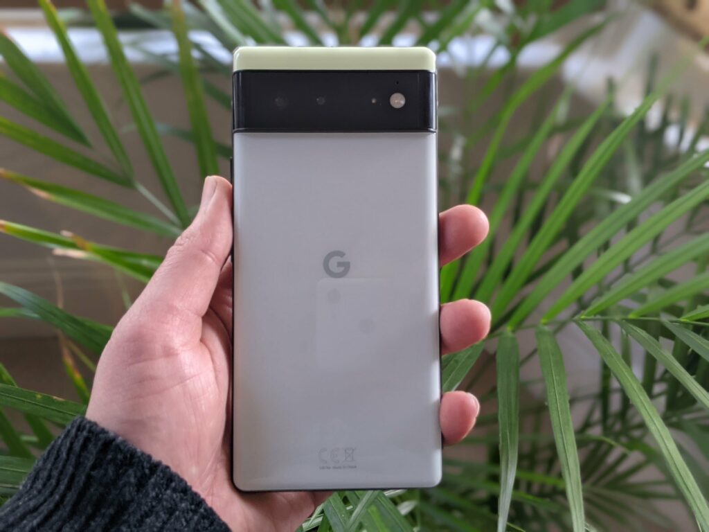 Google Pixel phone held in hand with green fern leaves in blurred background