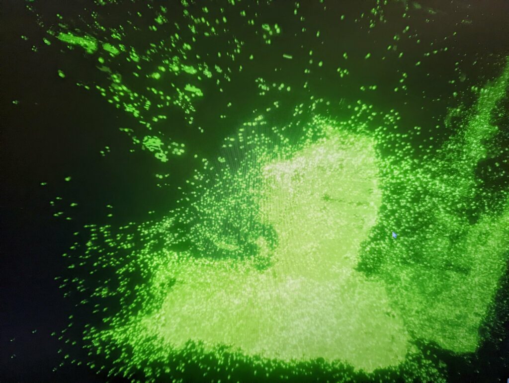 Abstract digital photo with bright green and white light particles emanating from center against dark background