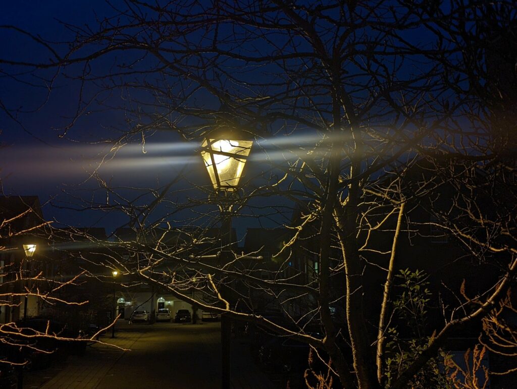 Frost-covered tree branches illuminated by warm street lamps against a deep blue winter night sky, with buildings visible in the background