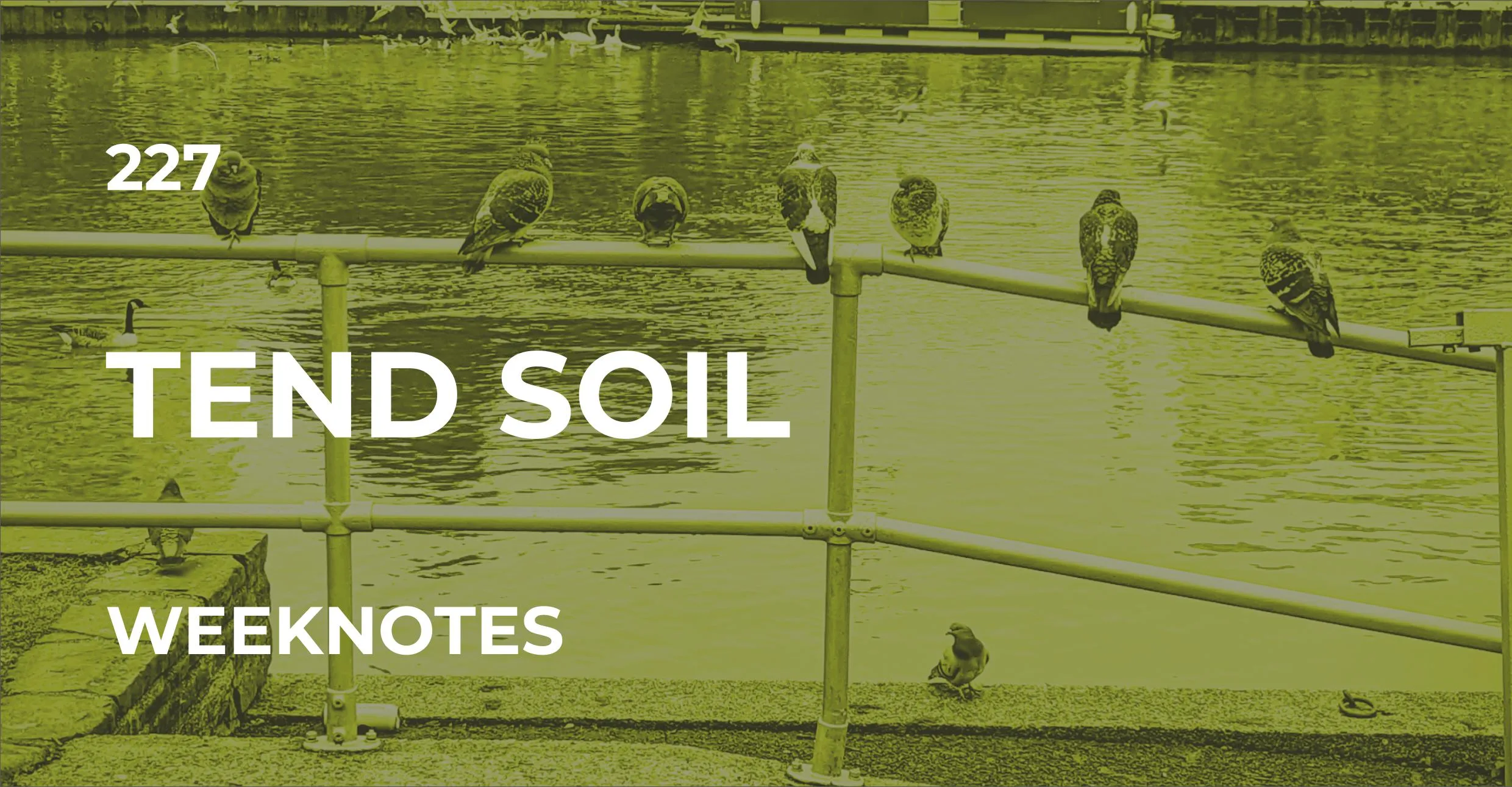 Tend Soil