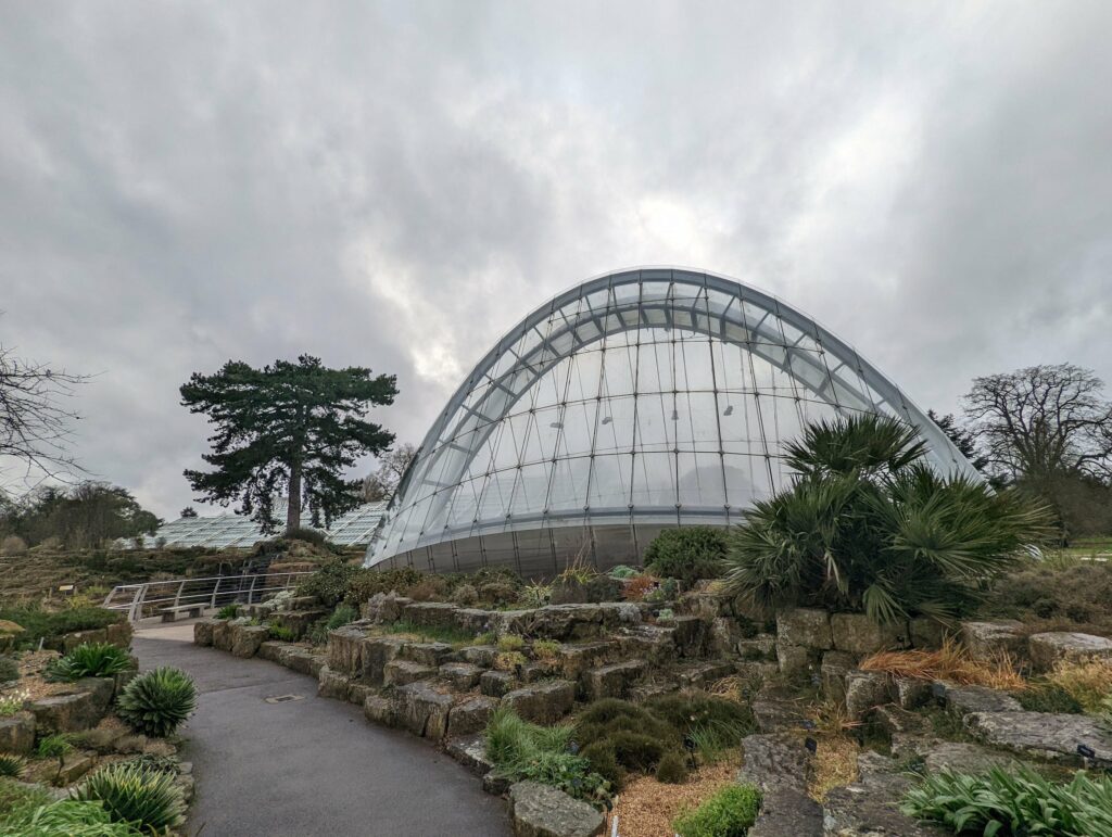 Large glass geodesic dome in botanical garden with stone pathways, tropical plants, and trees under cloudy sky