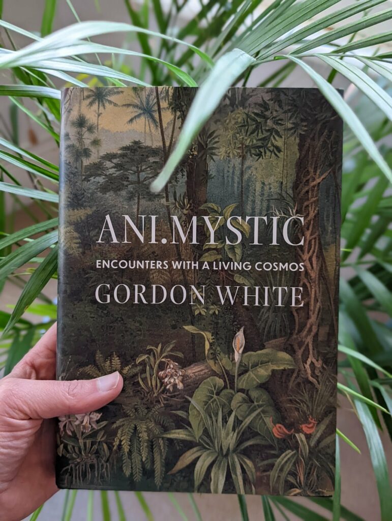 Hand holding "Ani.Mystic - Encounters with a Living Cosmos" by Gordon White book with ornate plant design cover, palm fronds in background