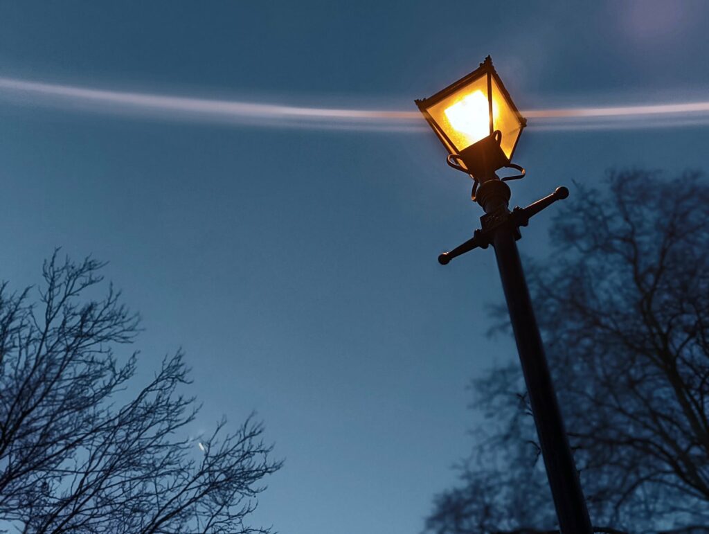 Illuminated street lamp glowing against blue twilight sky with bare tree branches silhouetted below