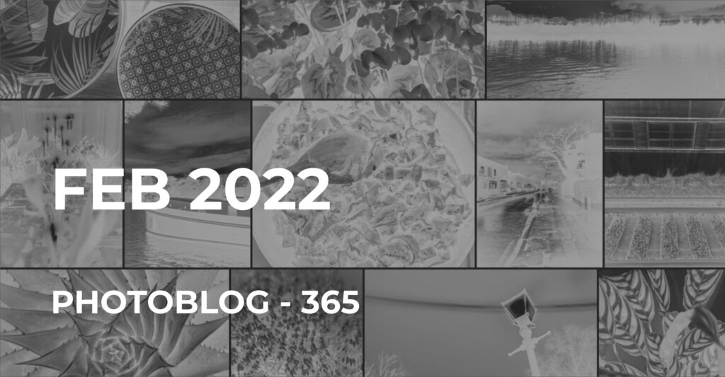 Feb 2022 | Photo 365