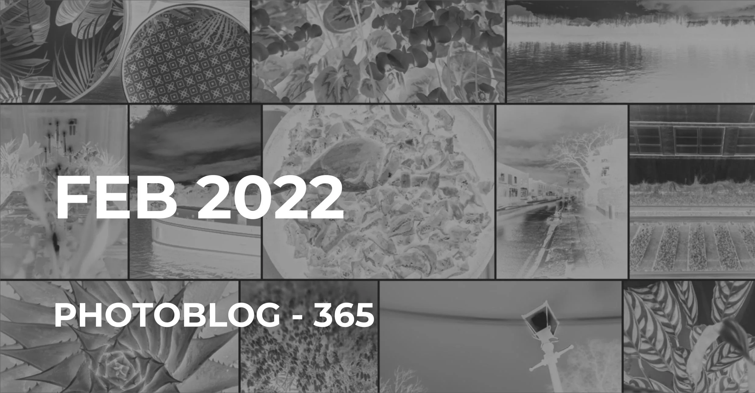Feb 2022 | Photo 365