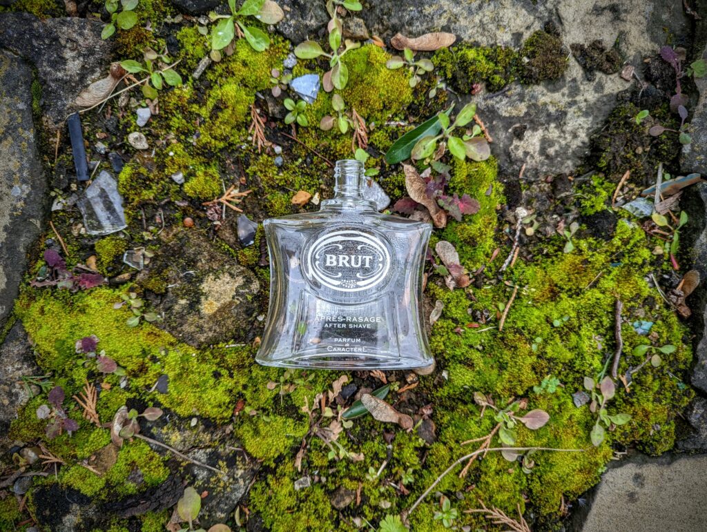 Brut fragrance bottle on bed of green moss and small plants
