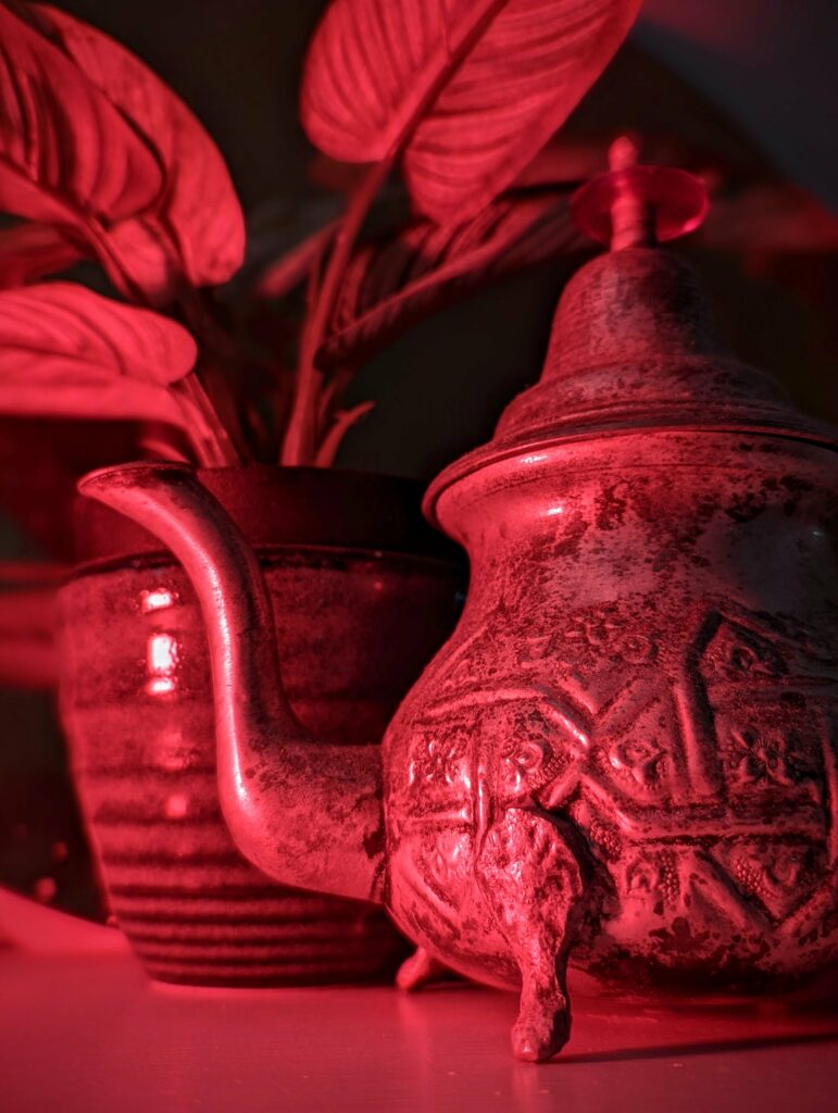 Red plant with ornate textured leaves under dramatic red studio lighting