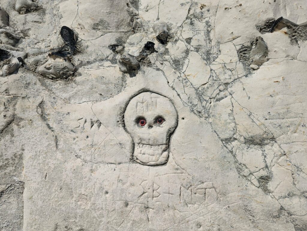 Sand art on beach: skull design with text and markings etched in sand with seaweed elements