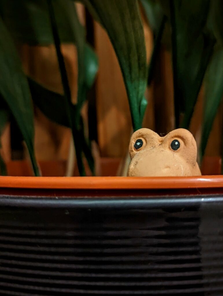 Terracotta frog figurine peeking over the orange rim of a black ribbed plant pot among green indoor plant stems.