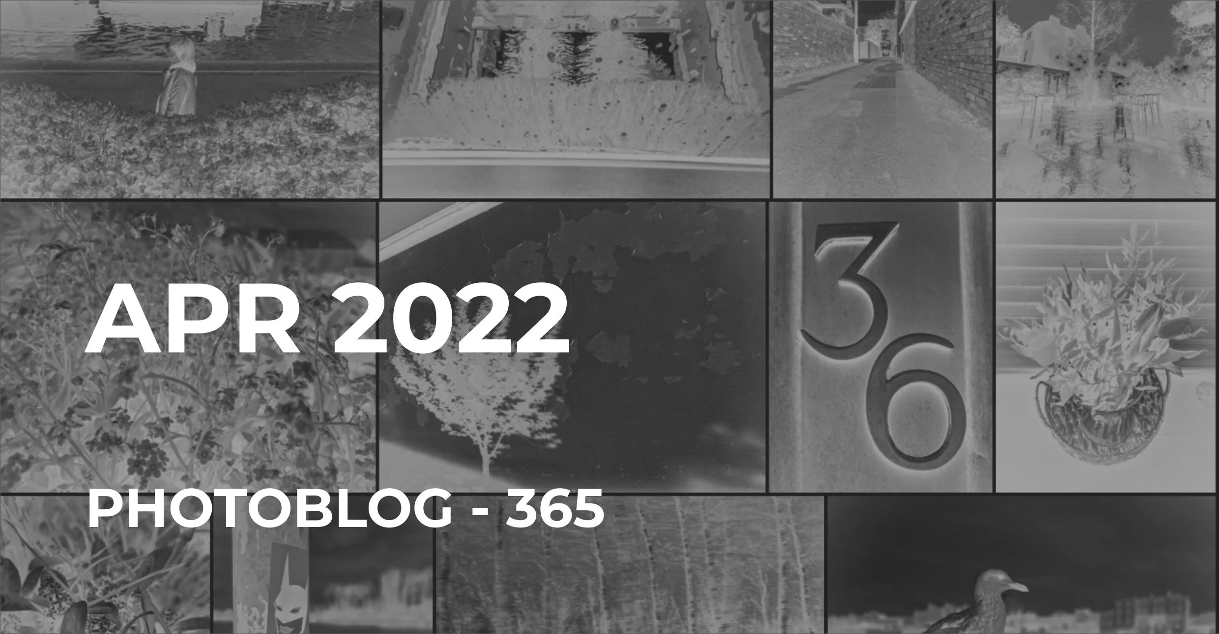 Apr 2022 | Photo 365