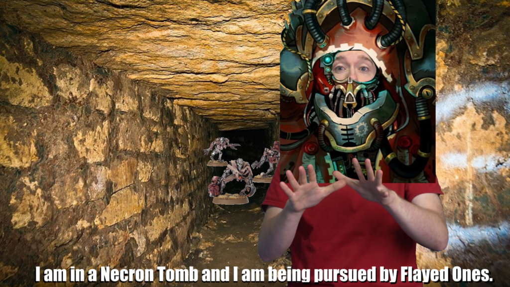 Meme of Tom Scott in Tech-Priest armor in a stone tunnel with Necron miniatures. Text: I am in a Necron Tomb and I am being pursued by Flayed Ones.