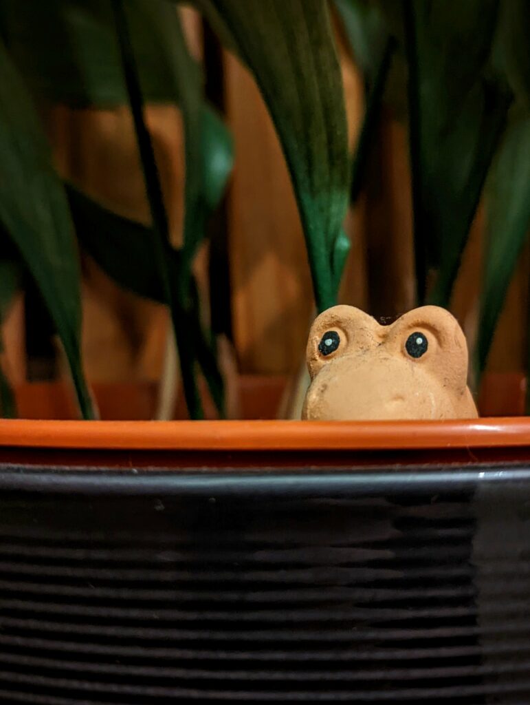 A small terracotta frog figurine peeking over the rim of a plant pot with green houseplant leaves in the background.