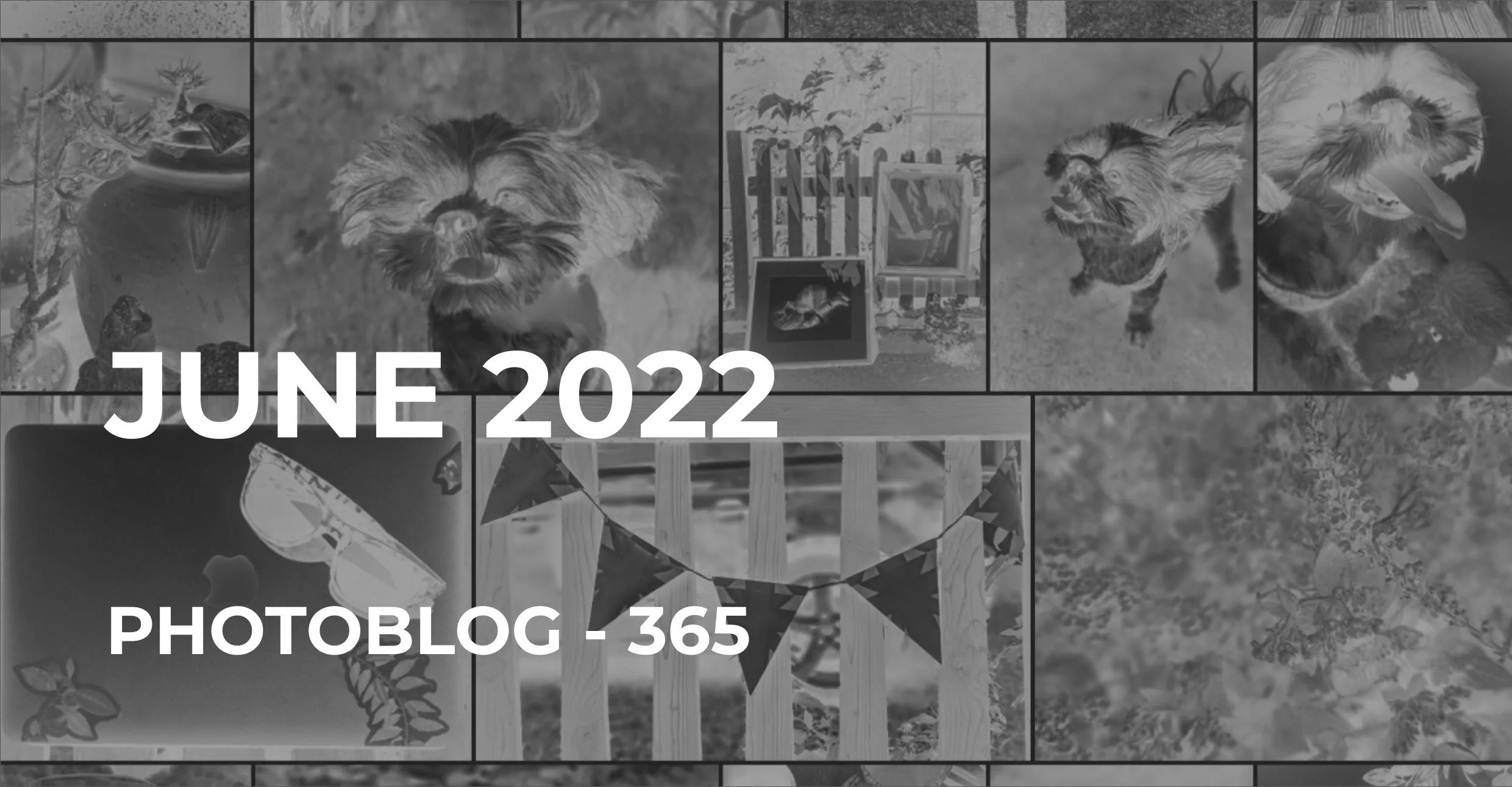 June 2022 | Photo 365