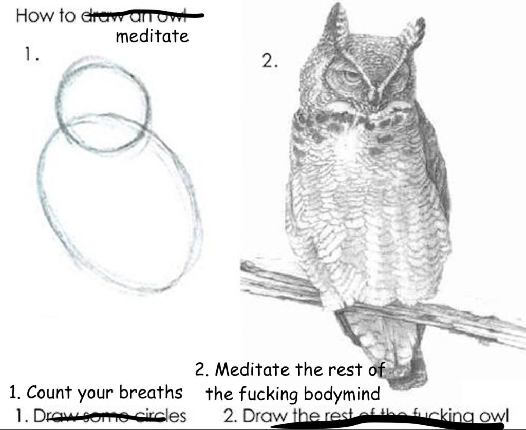 How to Meditate Meme - A parody of the 'draw an owl' meme with text edited to show two simple circles for step 1 'Count your breaths' and a hyper-detailed realistic owl for step 2 'Meditate the rest of the fucking bodymind'.