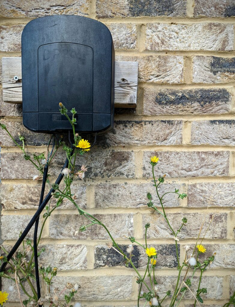 A black BT utility box on a wooden mount against a brick wall, with tall weeds and yellow flowers growing around the dangling cables.