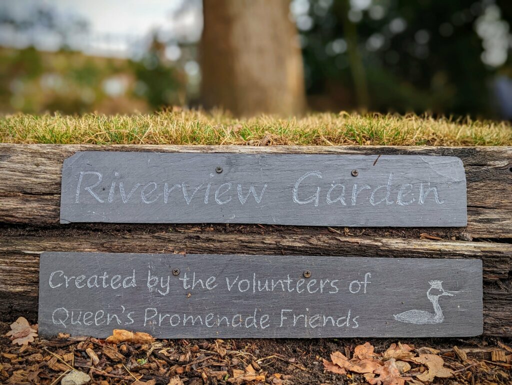 Two slate signs on wood: Riverview Garden, Created by the volunteers of Queen's Promenade Friends. Features a small etched crested bird.