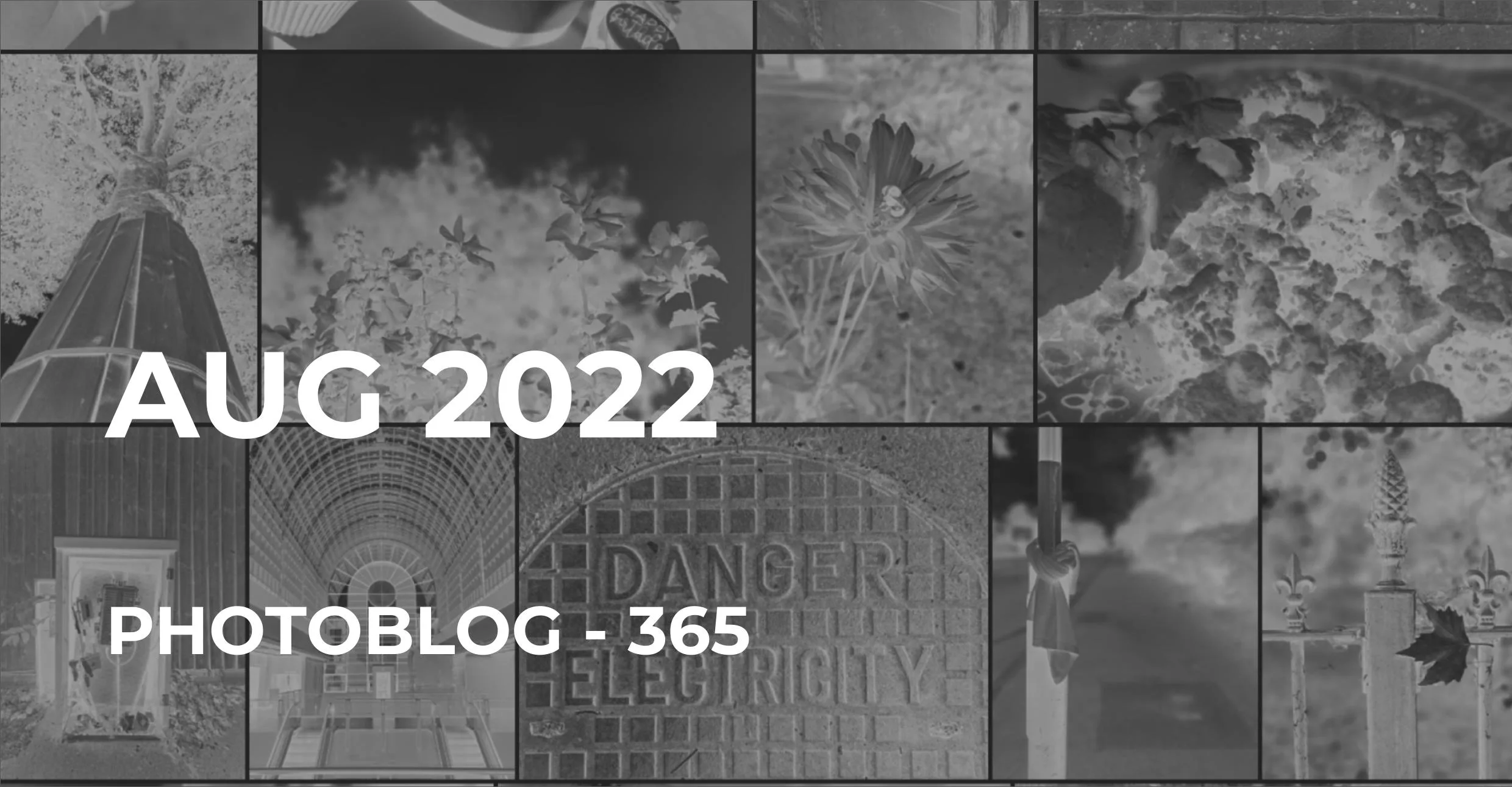 Aug 2022 | Photo 365
