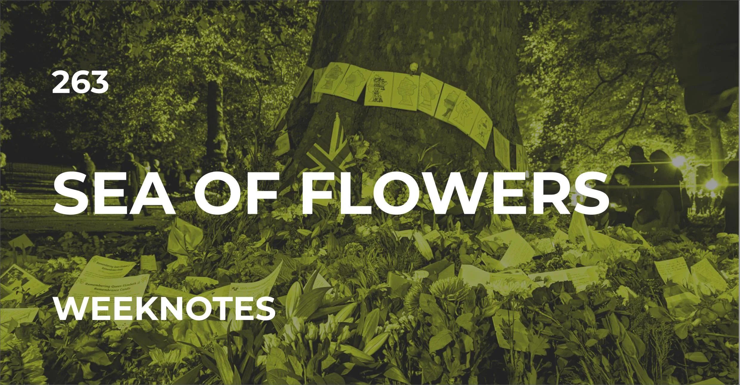 Sea of Flowers