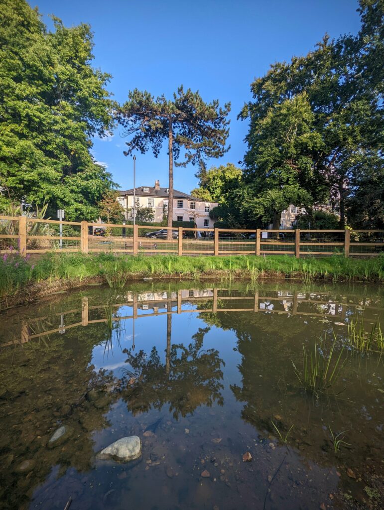 Reflection of a tall pine tree and a large cream house in a shallow pond, with a wooden fence and leafy trees under a bright blue sky.