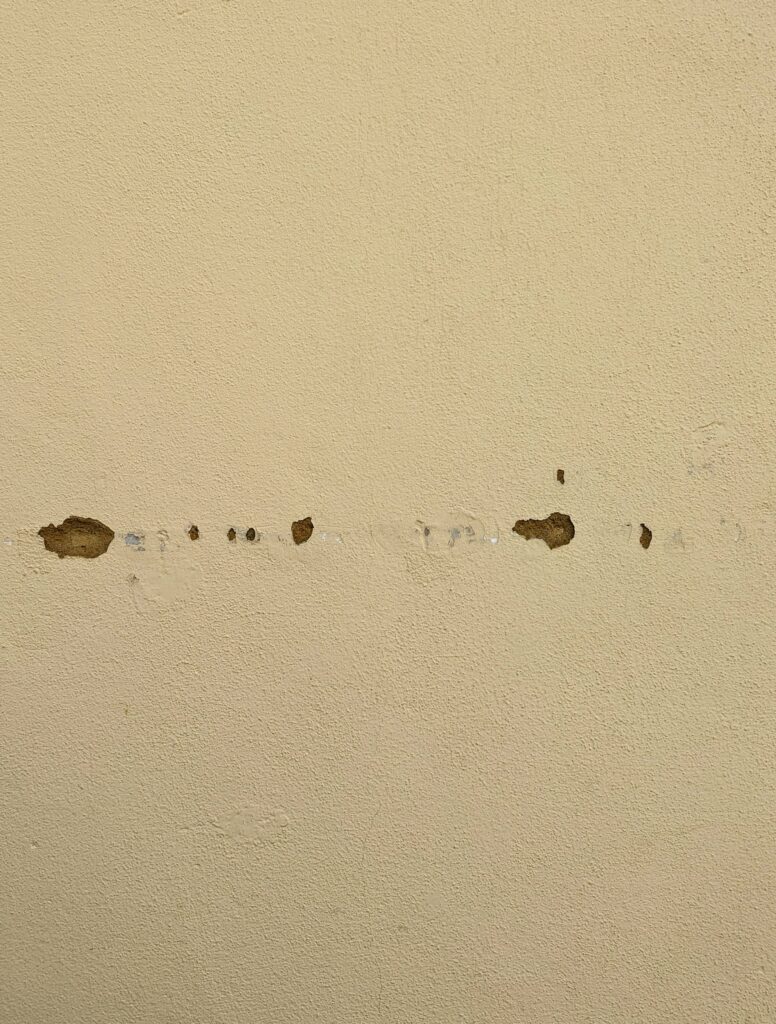 Horizontal line of small brown chips and scuffs across a textured beige wall.