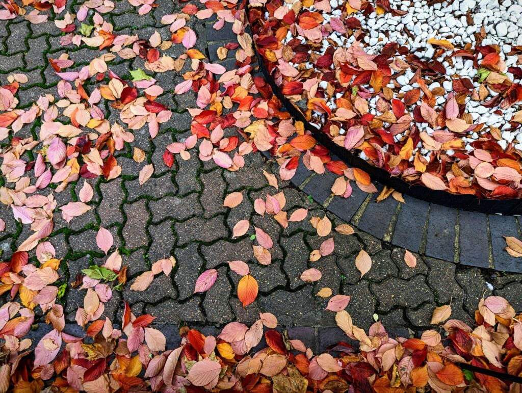 Red and orange autumn leaves scattered across grey interlocking paving stones and a curved bed of white pebbles.