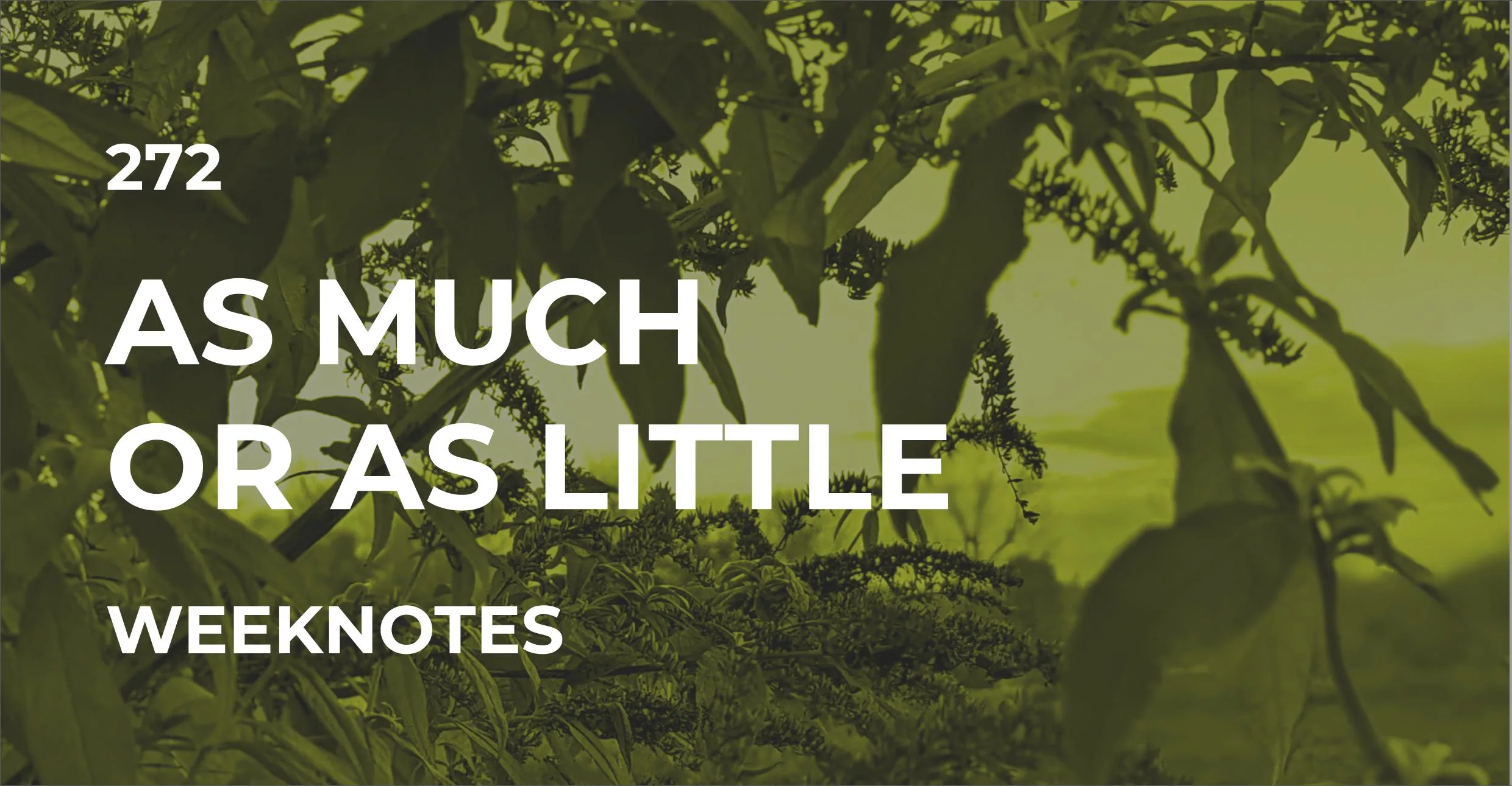 As Much or as Little