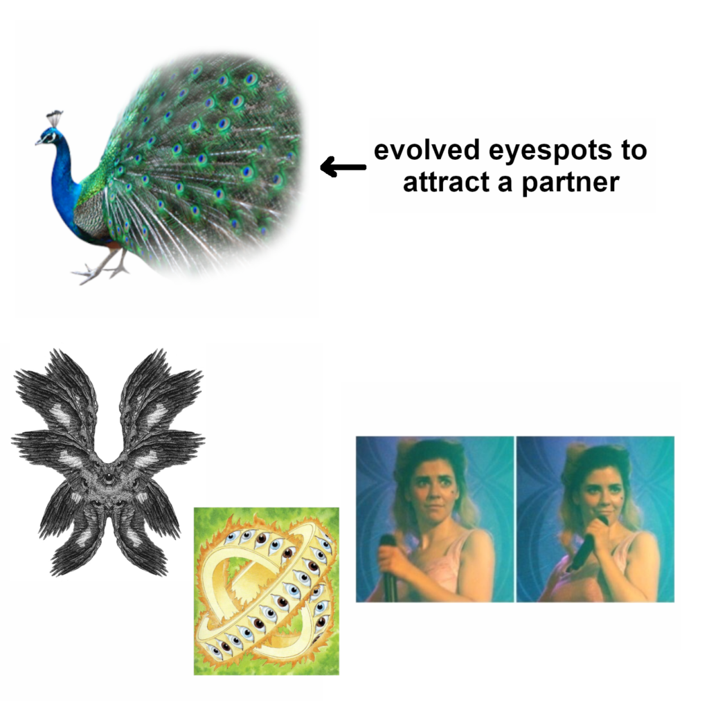 Meme showing a peacock with text: evolved eyespots to attract a partner. Below are multi-eyed biblical angels and two panels of Marina Diamandis shocked.