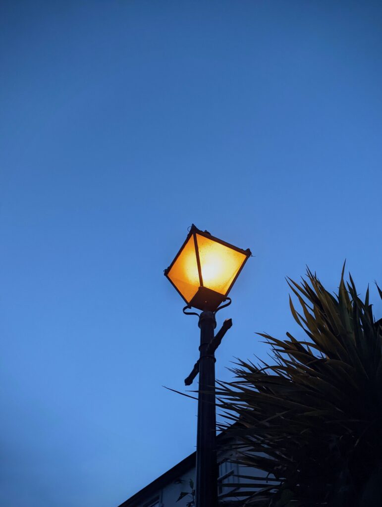 A vintage-style street lamp glowing warm yellow against a deep blue twilight sky, with dark spiky foliage to the side.