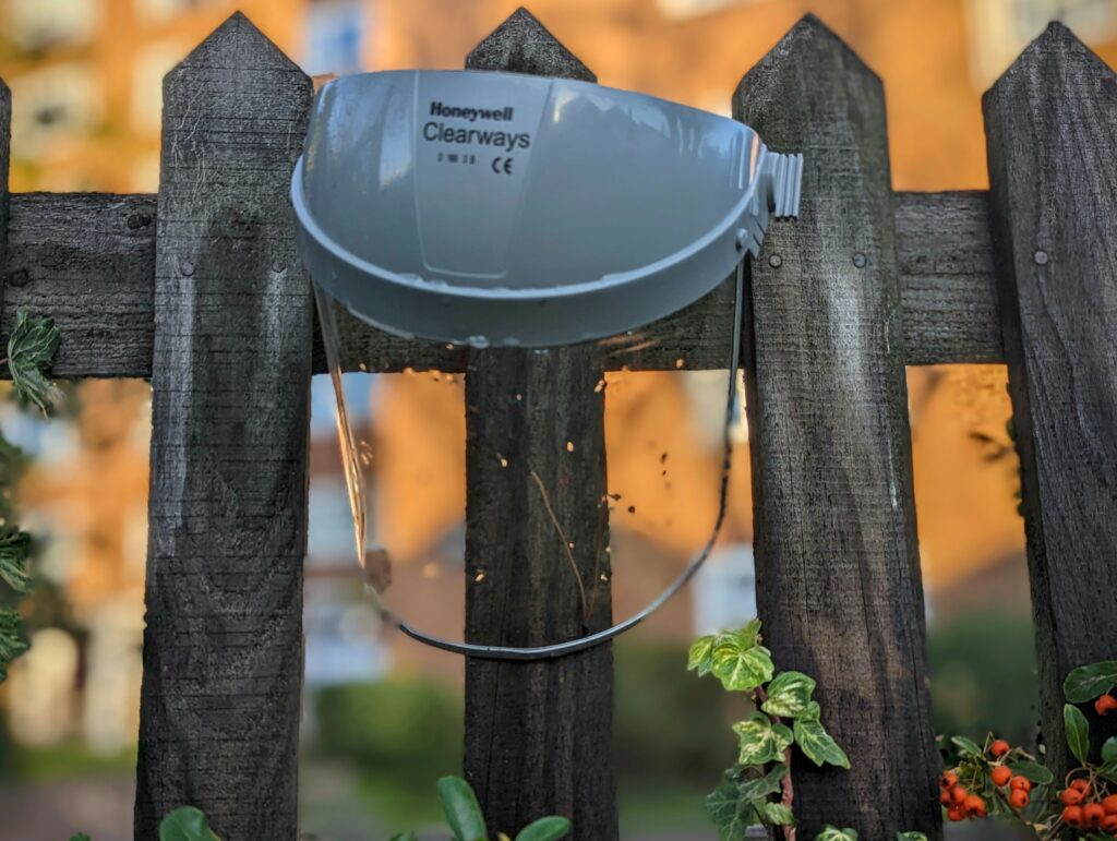A grey Honeywell Clearways face shield hooked onto a wooden picket fence, surrounded by green ivy and orange berries.