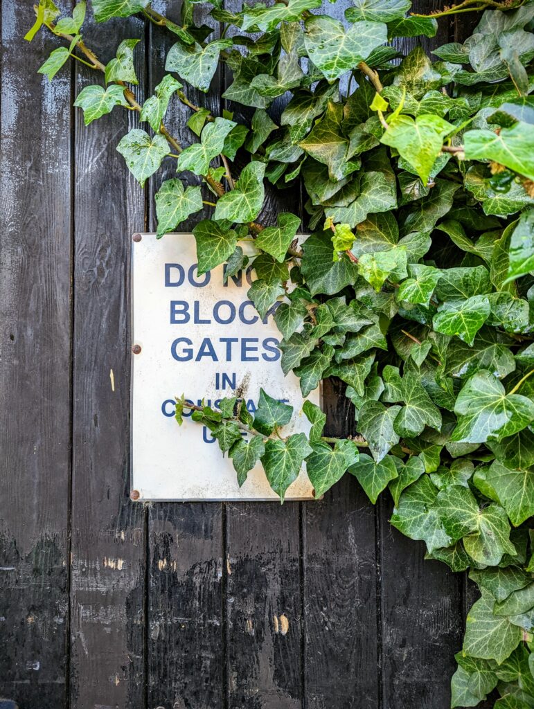 Green ivy growing over a white sign reading DO NOT BLOCK GATES IN CONSTANT USE on a dark, weathered wooden gate.