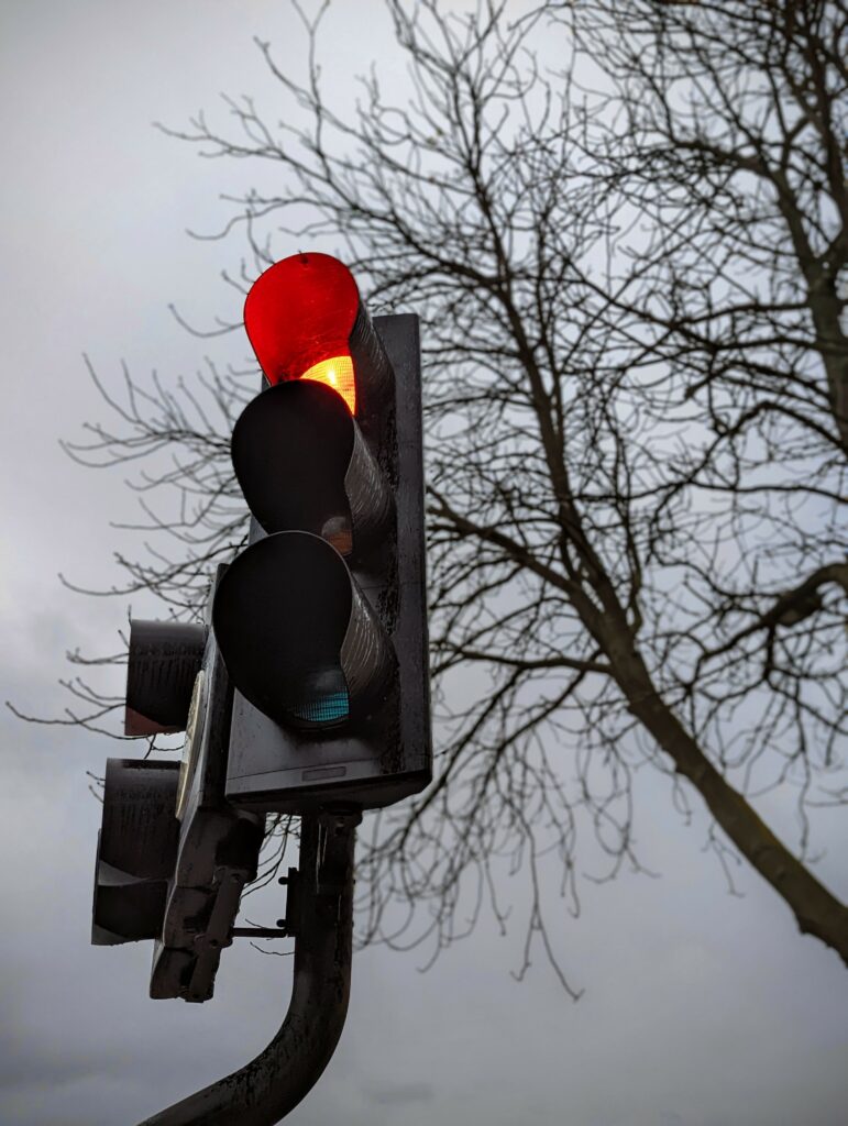 A red traffic light illuminated against the bare branches of a tree and a grey, overcast sky.